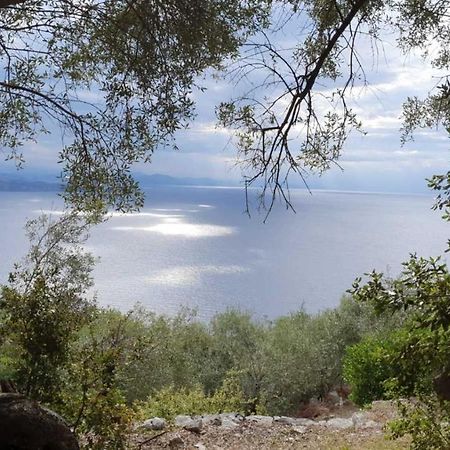 Willa Rizes Sea View Nisaki  Zewnętrze zdjęcie